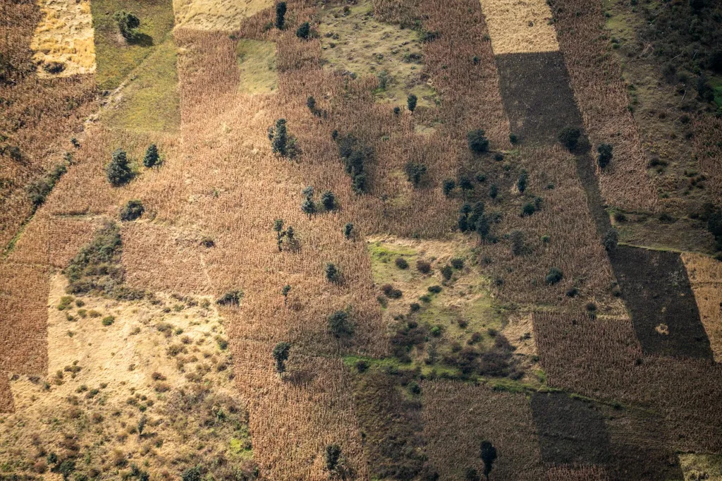 evaluation-du-prix-des-terrains