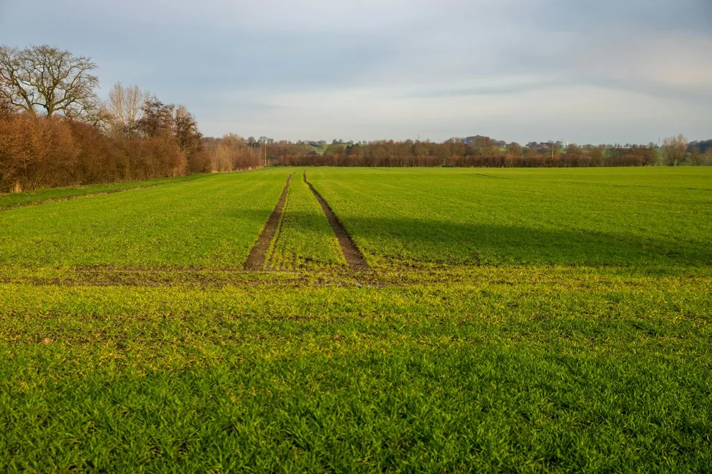 frais-de-notaire-pour-lachat-de-terrain
