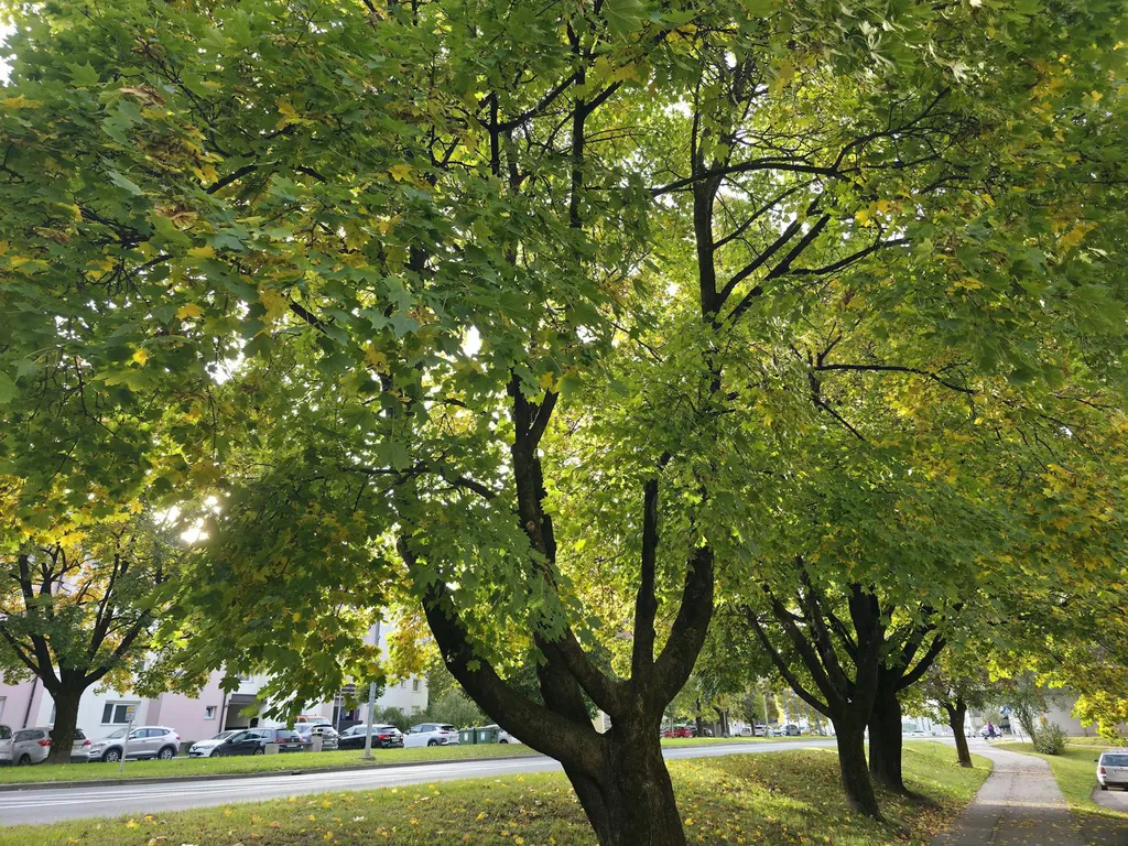 quartiers-paisibles-verdure